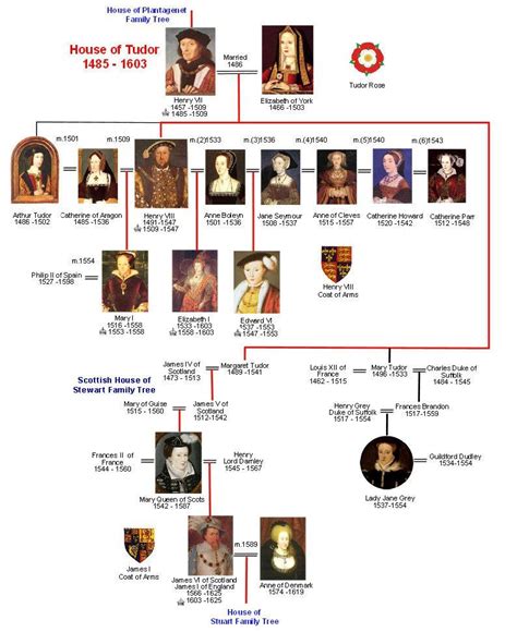 tudor windsor dynasty|tudors dynasty website.